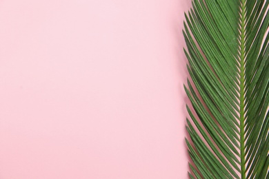 Photo of Flat lay composition with tropical leaves on color background