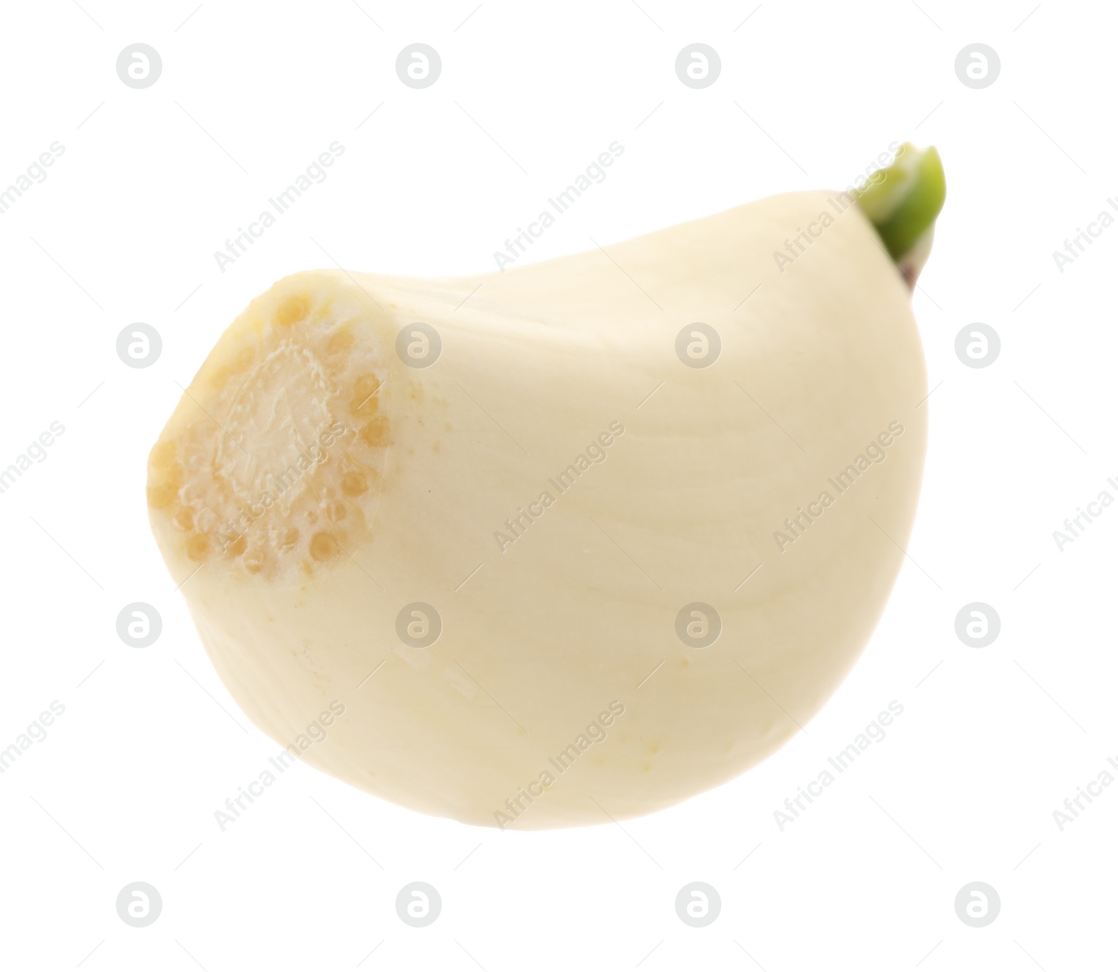 Photo of One peeled clove of garlic isolated on white