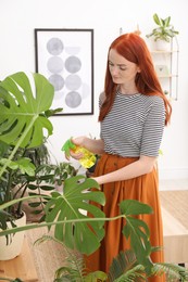 Photo of Beautiful woman taking care of houseplant in room