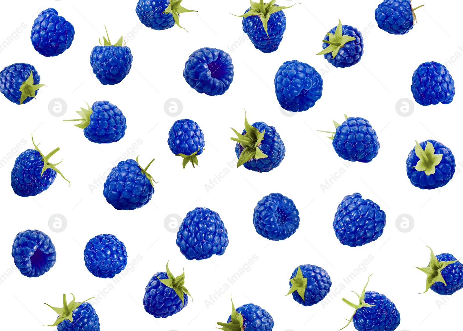 Image of Many fresh blue raspberries falling on white background