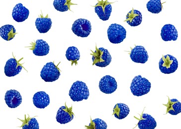 Image of Many fresh blue raspberries falling on white background