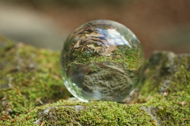 Photo of Beautiful plant, green grass and dry leaves, overturned reflection. Crystal ball on stone surface with moss in forest