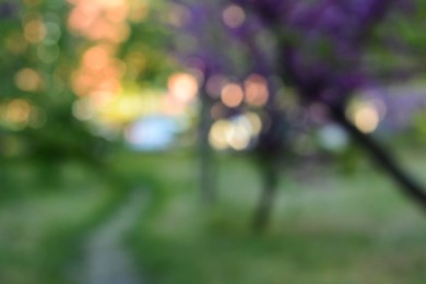 Beautiful park with trees at sunset, blurred view. Bokeh effect