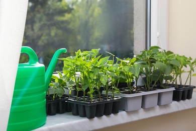 Photo of Seedlings growing in plastic containers with soil and watering can on windowsill indoors