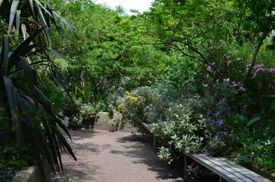 Photo of Picturesque view of park with plants and trees