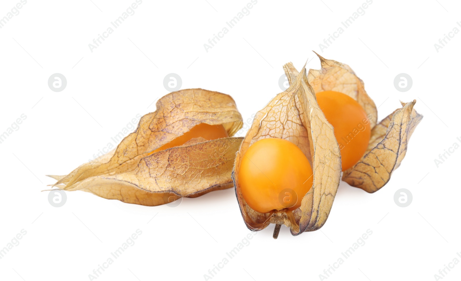 Photo of Ripe physalis fruits with calyxes isolated on white