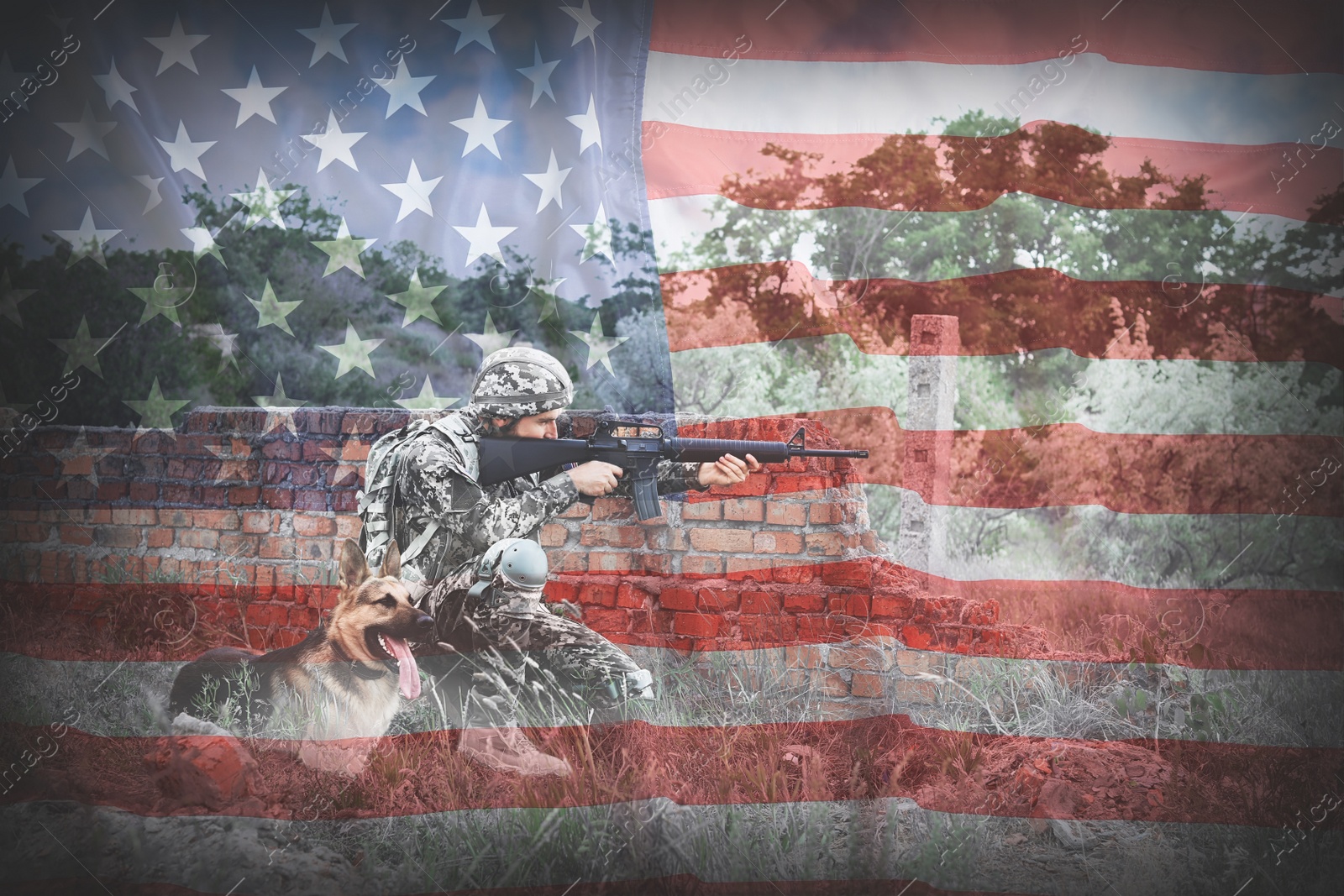 Image of Double exposure of soldier with German shepherd dog and American flag. Military service