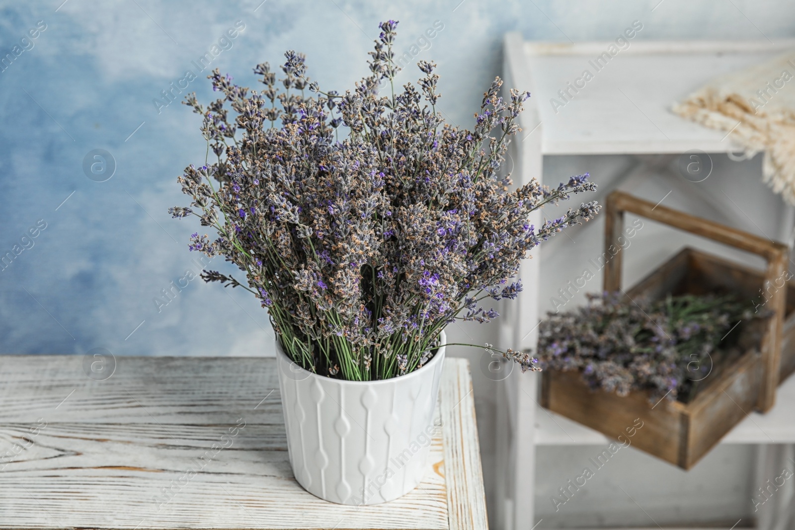 Photo of Pot with blooming lavender flowers on table