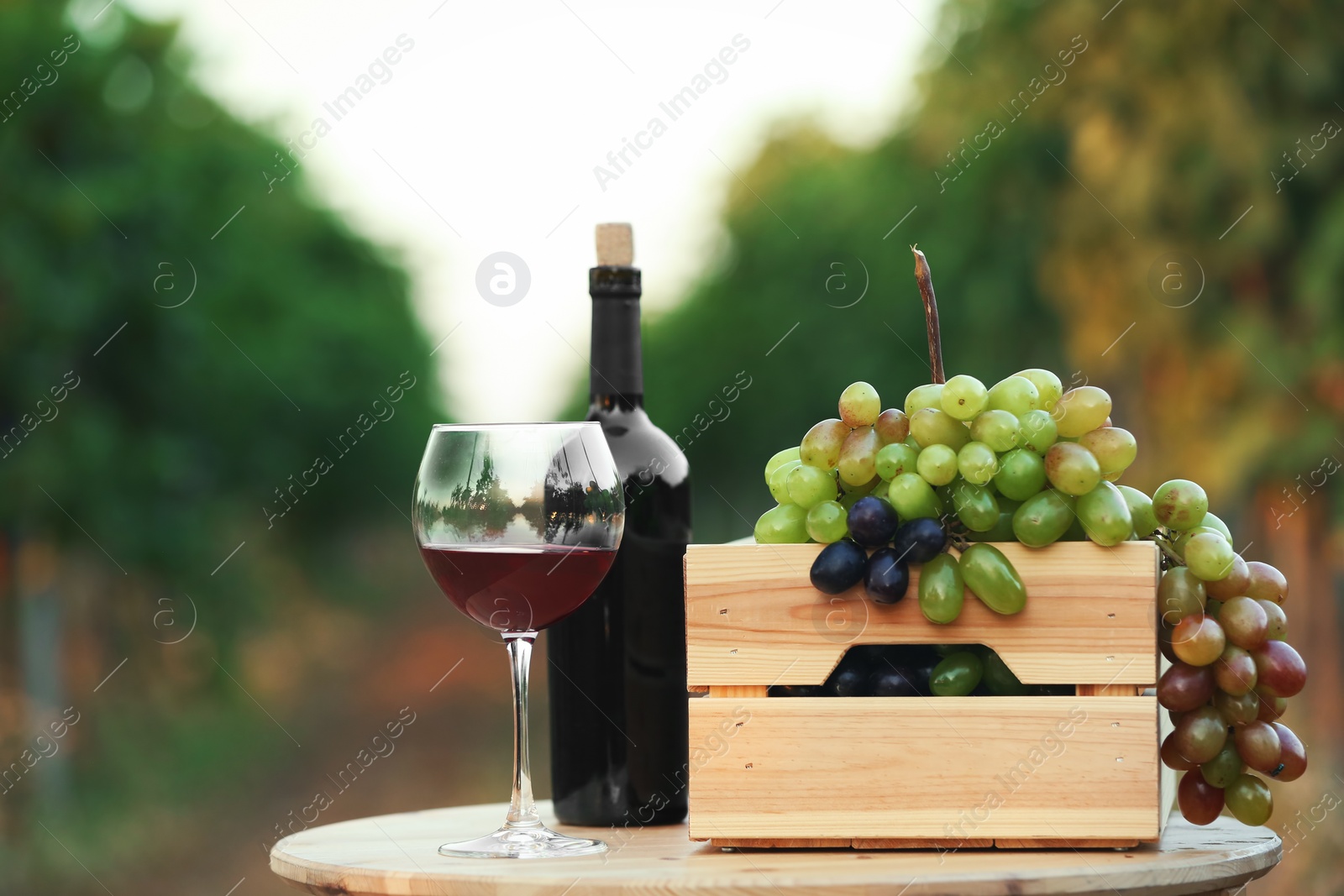 Photo of Bottle and glass of red wine with fresh grapes on wooden table in vineyard