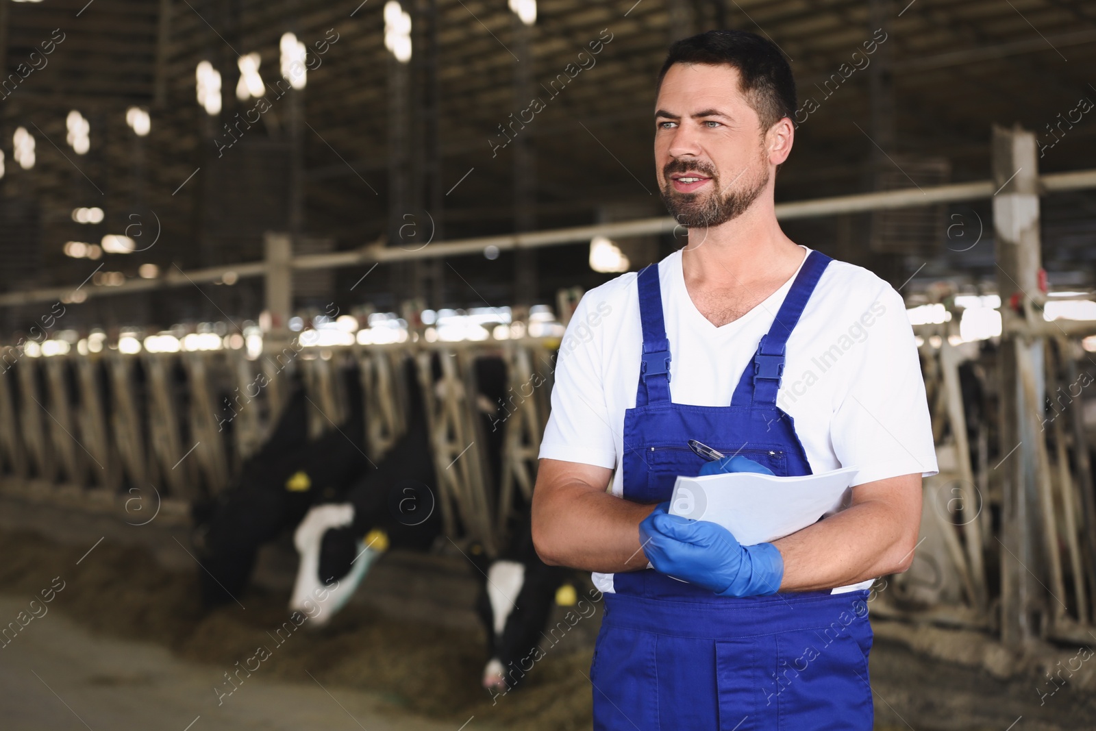 Photo of Worker with notes in cowshed on farm. Animal husbandry