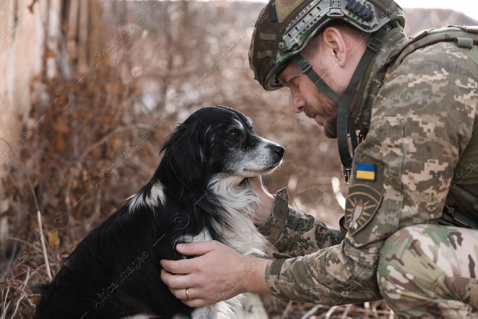 Photo of Ukrainian soldier petting frightened stray dog outdoors