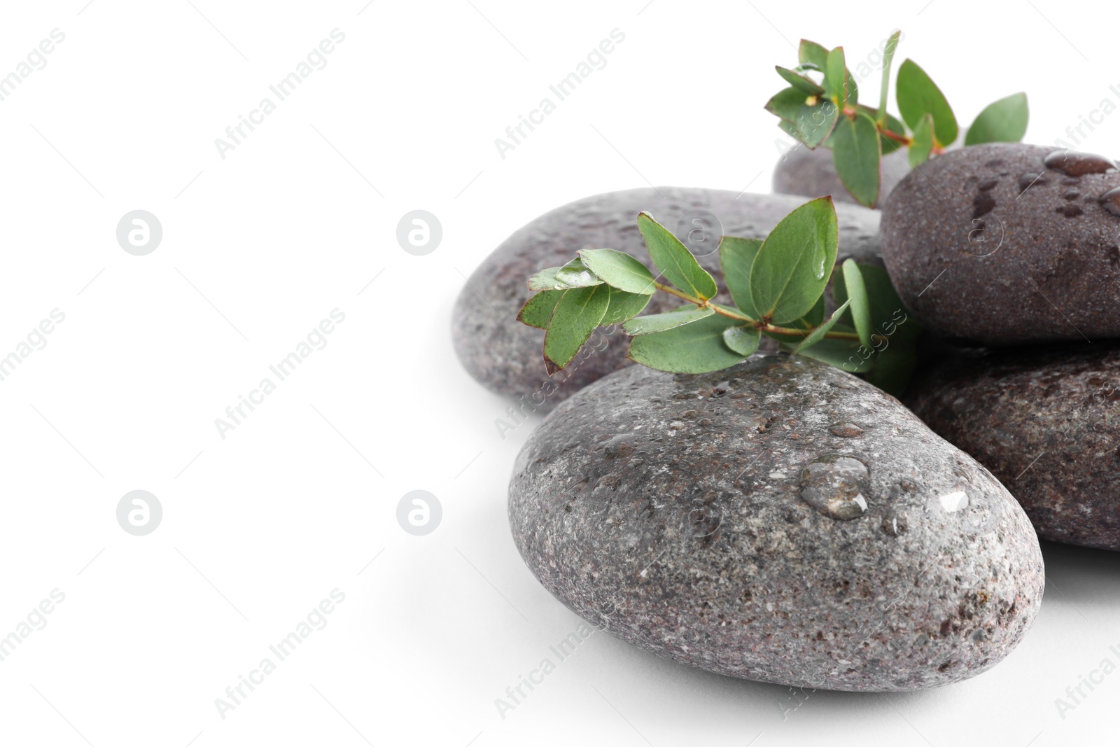 Photo of Spa stones and green leaves with water drops on white background