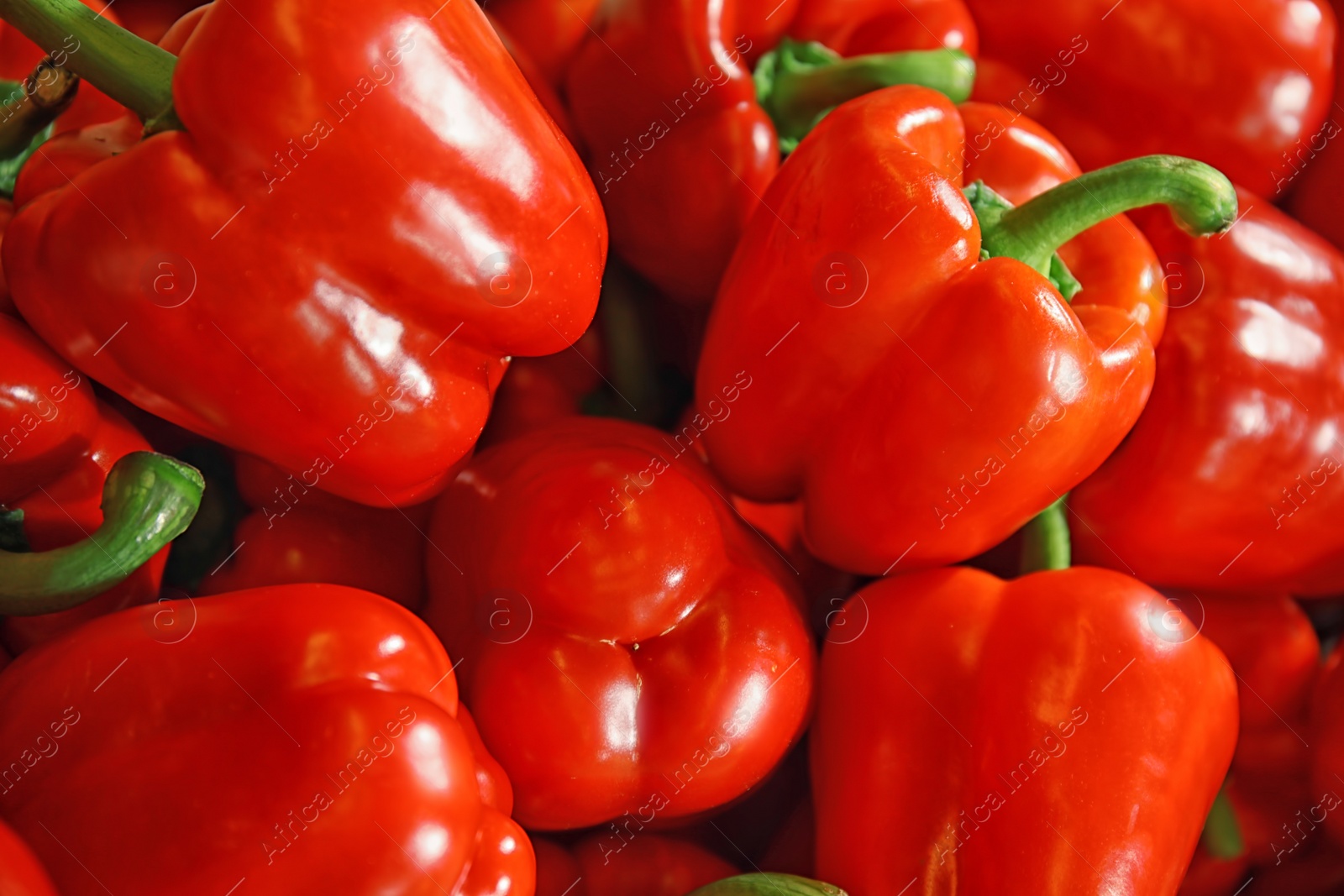 Photo of Pile of paprika peppers as background, closeup