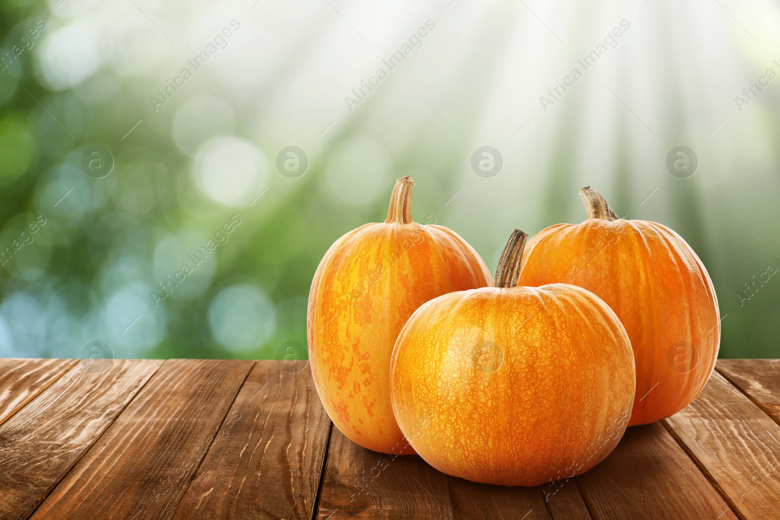 Image of Wooden table with fresh pumpkins outdoors on sunny day. Space for text