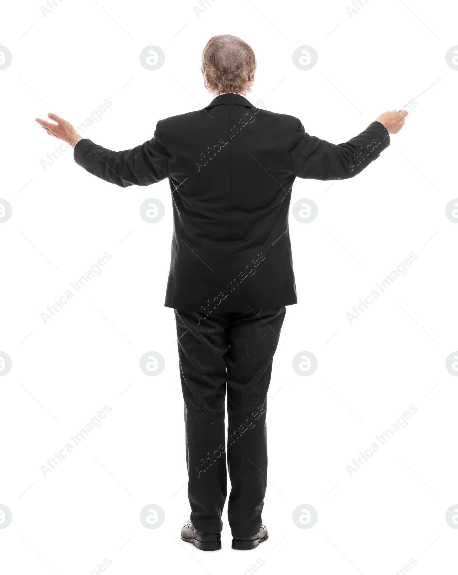 Photo of Professional conductor with baton on white background, back view