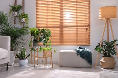 Photo of Cozy room interior with stylish furniture and beautiful houseplants near window