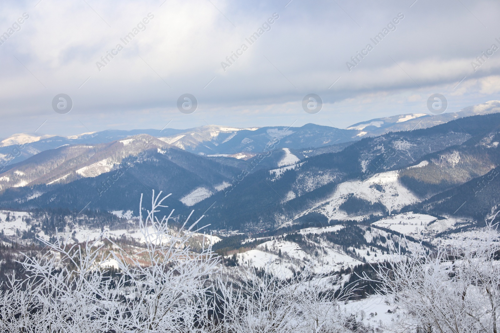 Photo of Beautiful view of plants covered with hoarfrost and snowy mountains on winter morning