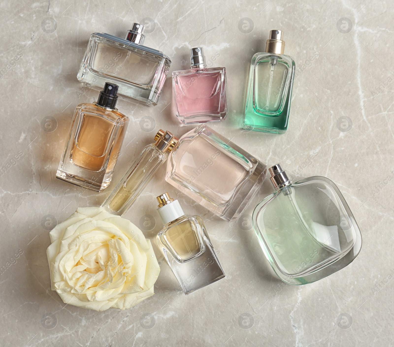 Photo of Perfume bottles on light background, flat lay