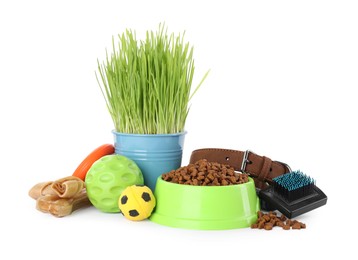 Various pet toys, bowl of food and wheatgrass on white background