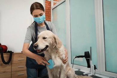 Photo of Professional groomer brushing fur of cute dog in pet beauty salon. Space for text