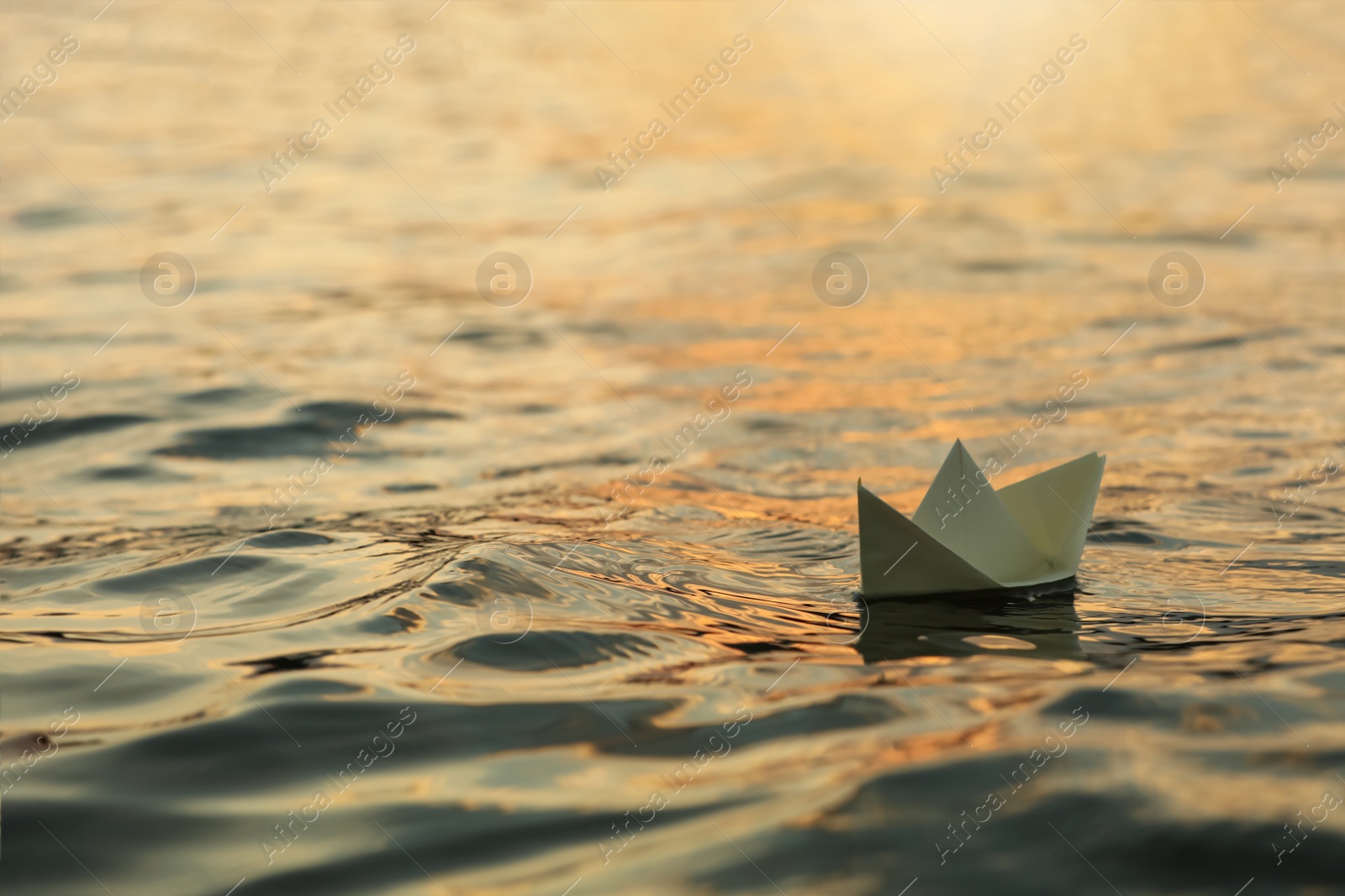 Photo of Paper boat floating on water outdoors. Space for text