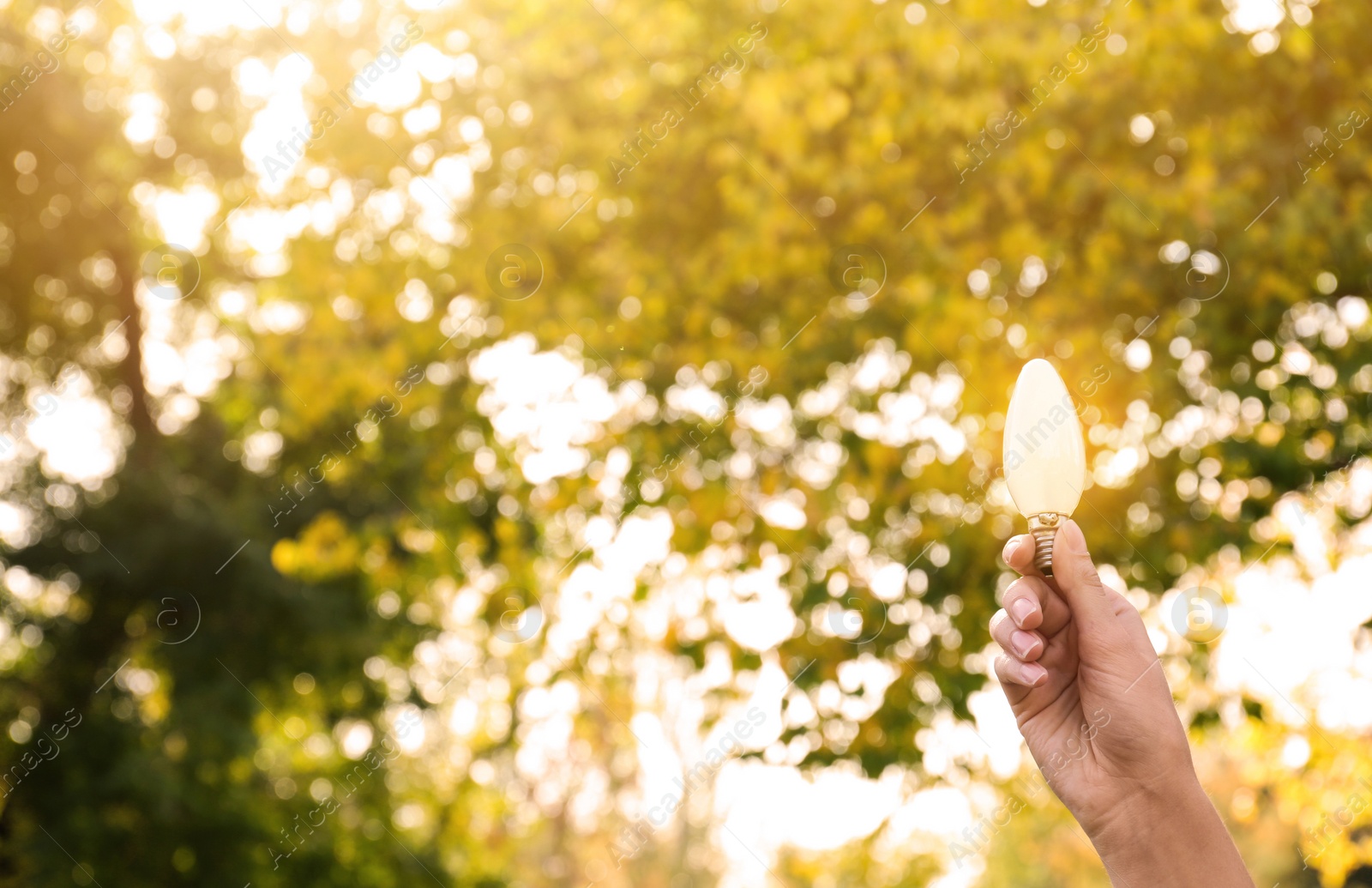 Photo of Woman holding lamp bulb outdoors, closeup. Space for text