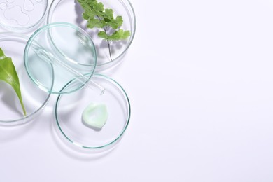 Organic cosmetic product, natural ingredients and laboratory glassware on white background, top view. Space for text