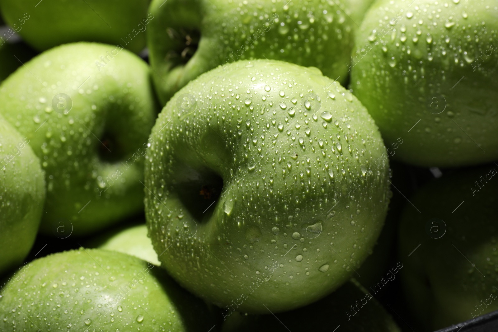 Photo of Fresh green apples with water drops as background, closeup