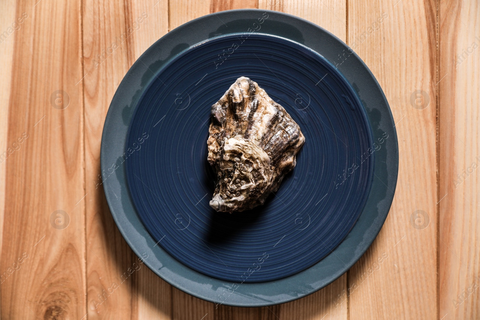 Photo of Fresh oyster on wooden table, top view