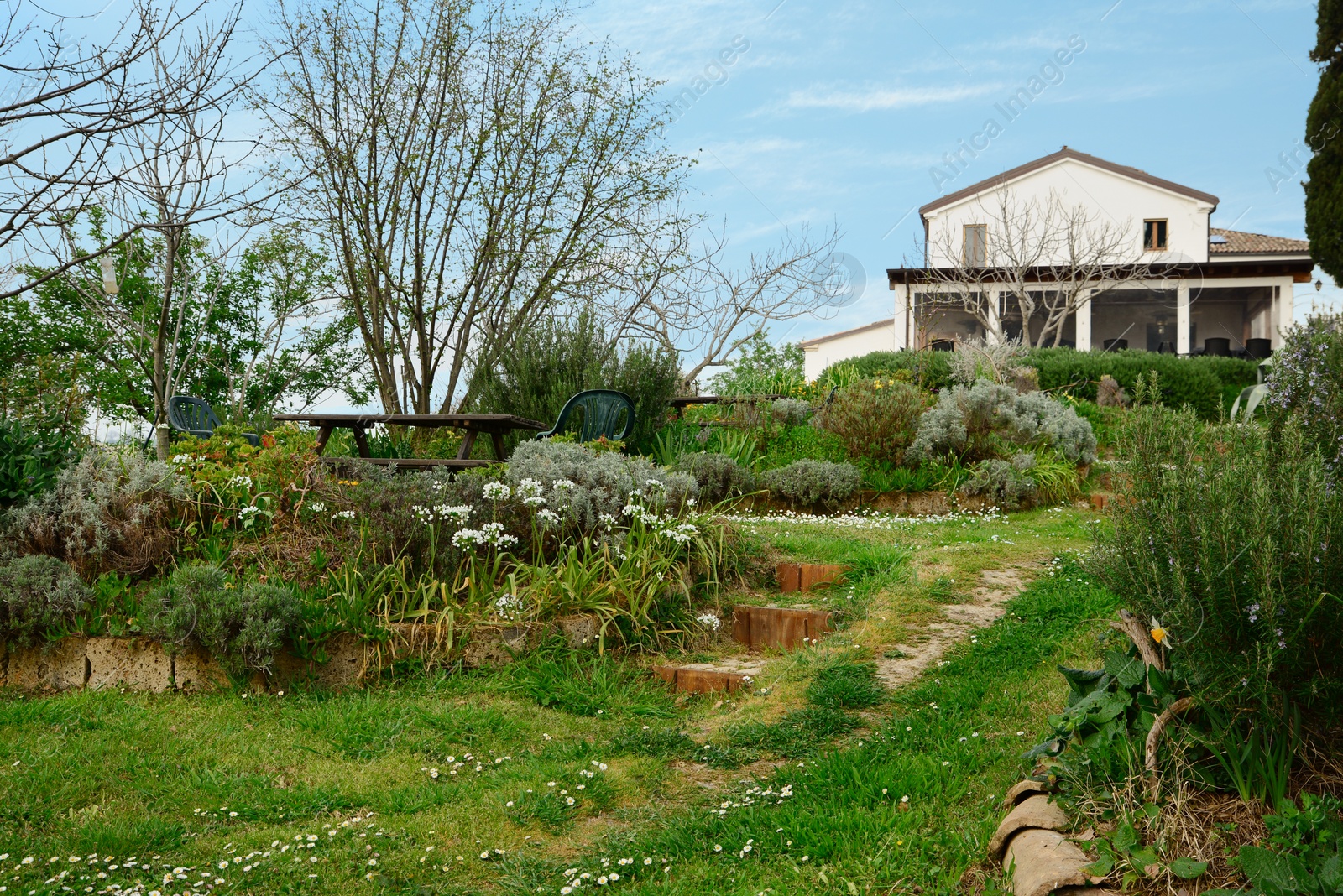 Photo of Beautiful garden with patio furniture in backyard of house on spring day