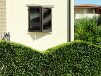 Photo of Residential building with beautiful green hedge on sunny day