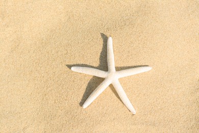 Photo of Beautiful starfish on sandy beach, top view