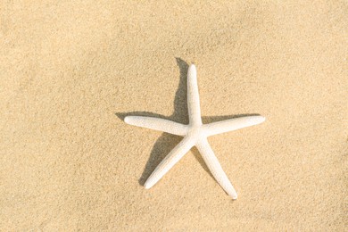 Beautiful starfish on sandy beach, top view