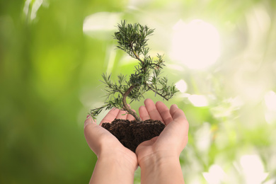 Image of Woman holding small tree in soil on blurred green background, closeup. Ecology protection