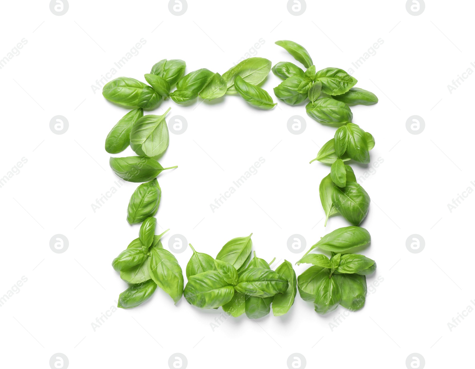 Photo of Frame made with basil leaves on white background, top view. Space for text