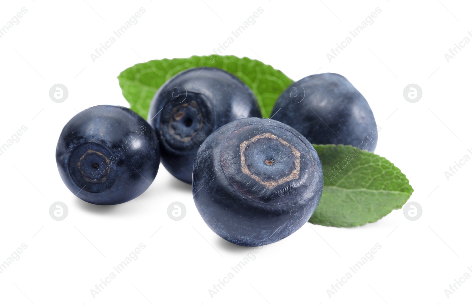 Photo of Tasty ripe bilberries and green leaves isolated on white