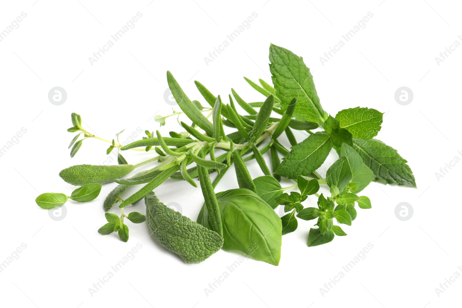 Photo of Various fresh aromatic herbs on white background