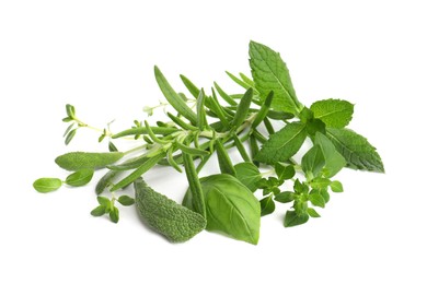 Photo of Various fresh aromatic herbs on white background