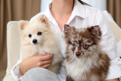 Photo of Woman with cute dogs at home, closeup