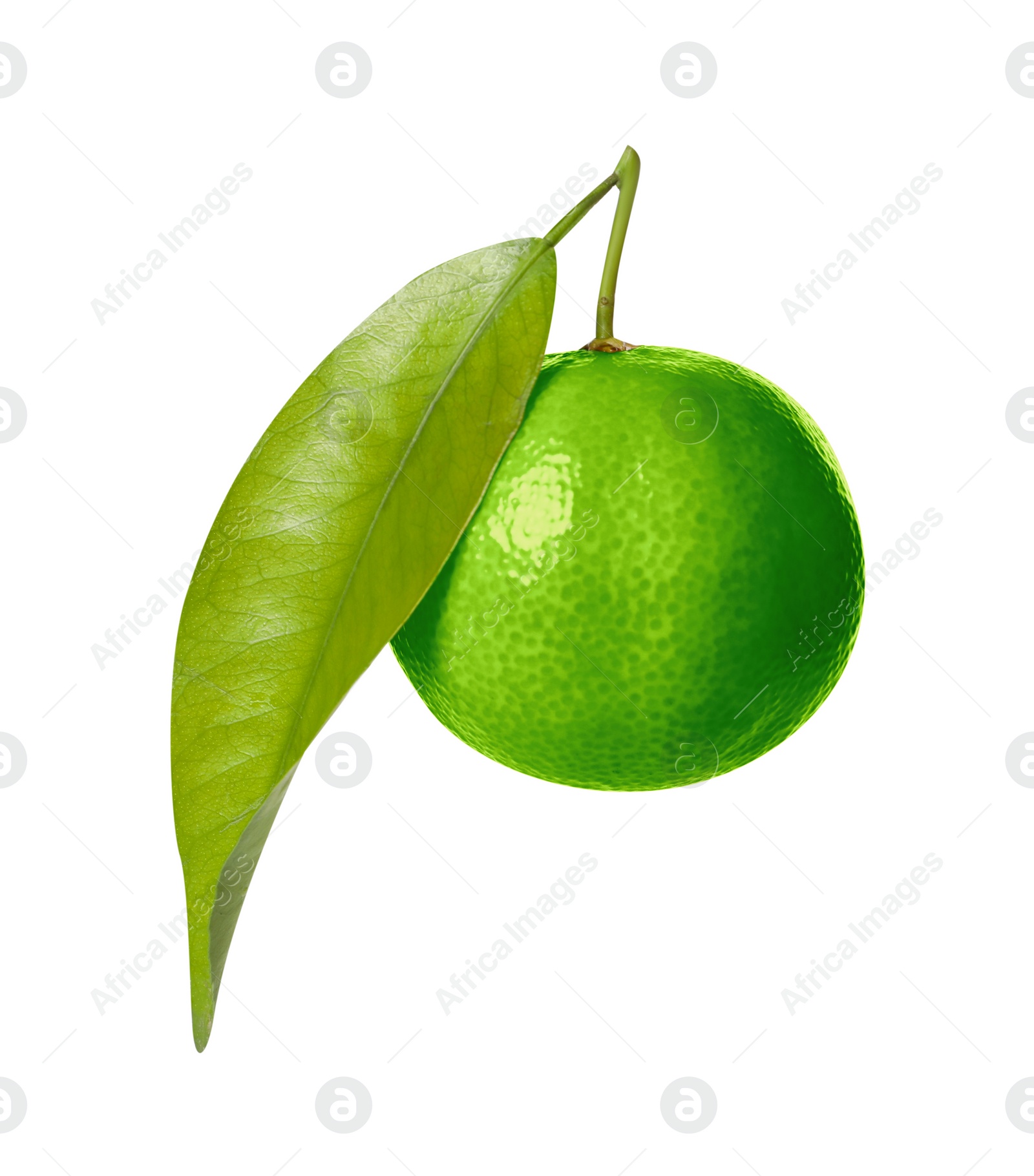 Image of Green tangerine isolated on white. Citrus fruit