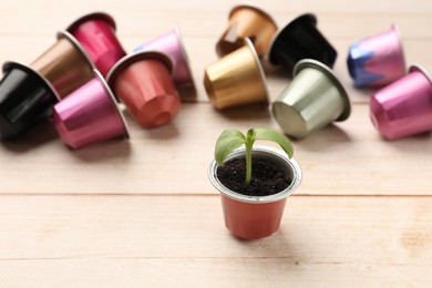 Green seedling growing in coffee capsule on wooden table