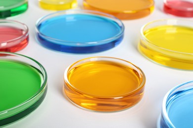 Photo of Many Petri dishes with colorful liquids on white background, closeup