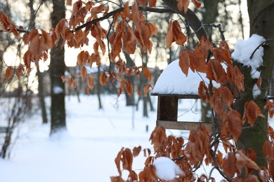 Photo of Wooden birdhouse hanging on tree with dry leaves in park. Space for text