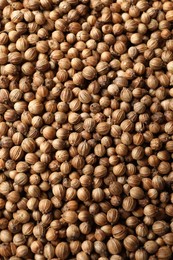 Photo of Dried coriander seeds as background, top view