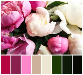 Image of Beautiful fresh flowers and color palette. Collage