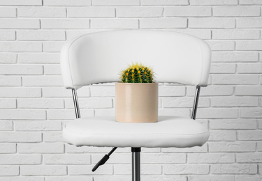 Chair with cactus near white brick wall. Hemorrhoids concept