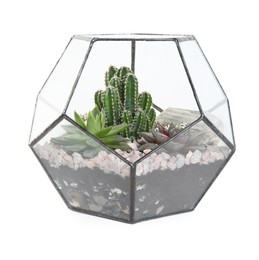 Photo of Glass florarium vase with succulents isolated on white