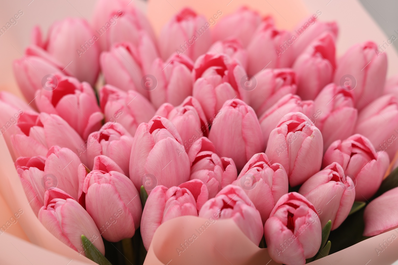 Photo of Bouquet of beautiful pink tulips on blurred background, closeup