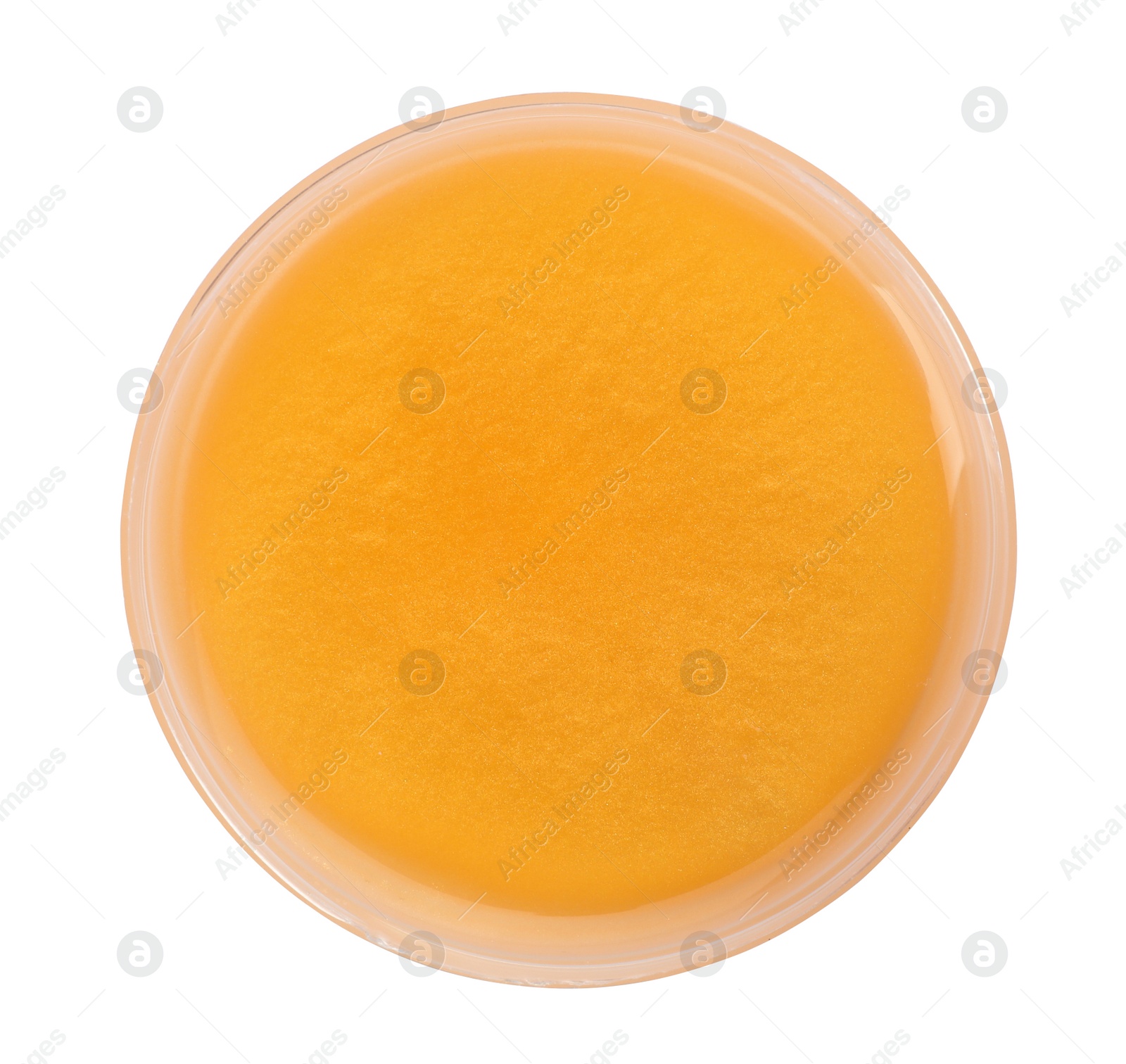 Photo of Orange slime in plastic container isolated on white, top view. Antistress toy