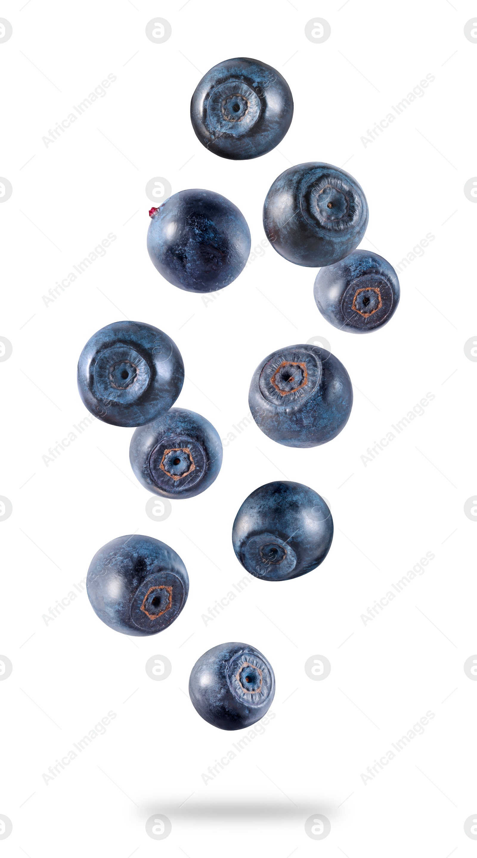 Image of Fresh ripe bilberries falling on white background